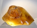 Bursztyn. Fot. Hannes Grobe, źródło: http://commons.wikimedia.org/wiki/File:Amber_hg.jpg, dostęp: 18.11.14.

